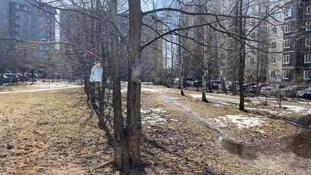 обзор двора смотреть онлайн