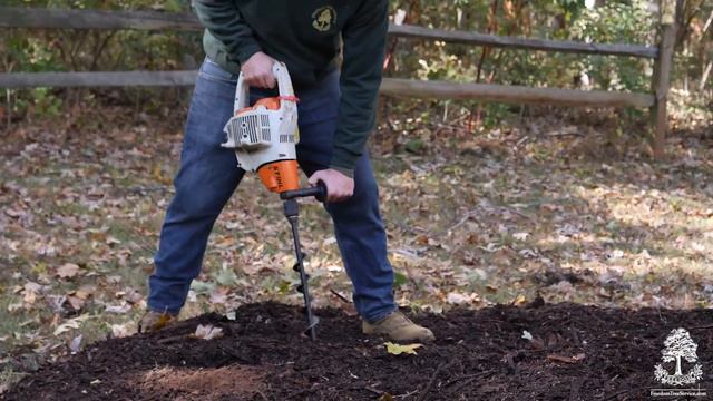 Forest Floor Mix