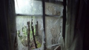 «Мертвая дорога». Бывший лагпункт «Барабаниха» стройки №503 в Красноярском крае