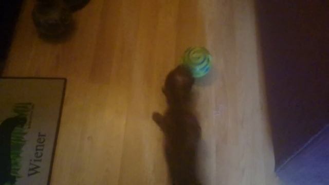 Bilbo And The Evil Ball of Doom смотреть онлайн