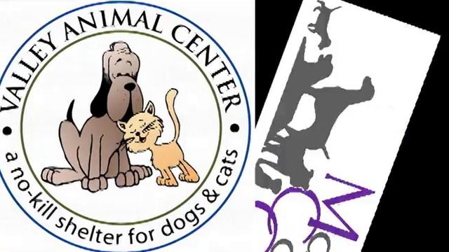 Mari's Canine Crew Tips: Leash Walking смотреть онлайн