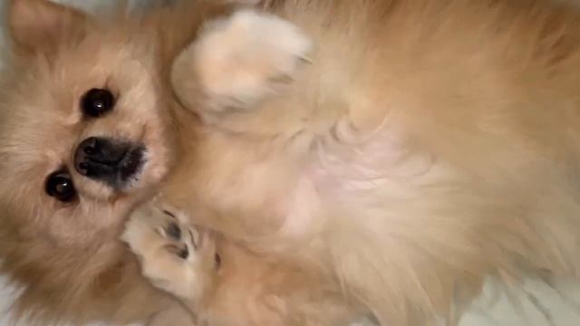 Всем доброй ночи и самых сладких снов. смотреть онлайн