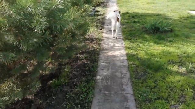 #Мои новинки МОЛОЧНИКИ# смотреть онлайн