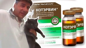 По совету ветеринара буду давать Сильверу Котэрвин для профилактики мочекаменной болезни