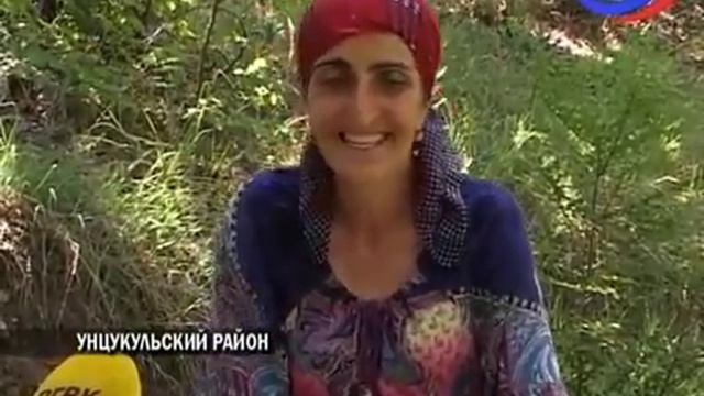 В Дагестане в самом разгаре сбор урожая абрикосов смотреть онлайн