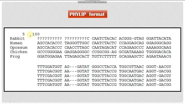 How to construct the phylogenetic trees using PHYLIP package смотреть онлайн
