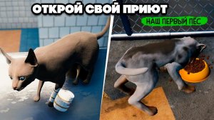 СПАСАЕМ КОТИКОВ и СОБАЧЕК - ПЕРВЫЙ ПЁС ♦ Animal Shelter #3