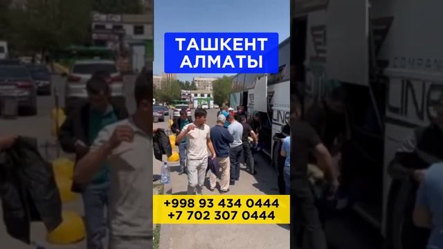 Ташкент Алматы автобус #ташкент #алматы #автобус #такси #узмигрант #uzmigrant смотреть онлайн