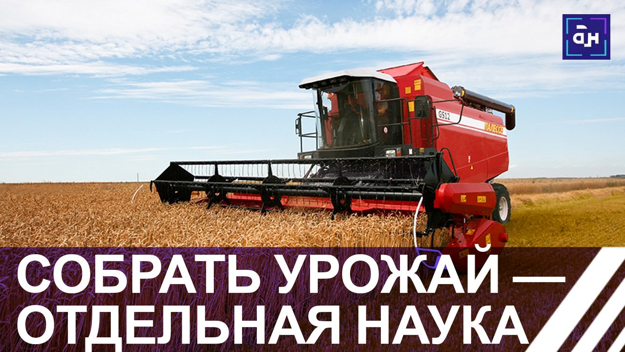 Рапсовые поля сейчас убирают аграрии Беларуси. Панорама смотреть онлайн