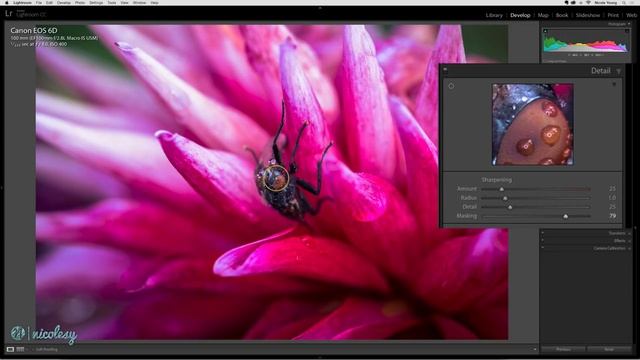 Sharpening in Lightroom Classic смотреть онлайн