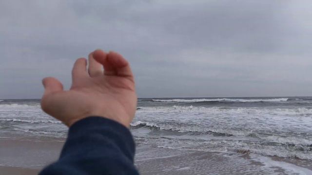Флорида: Первое утро на океане смотреть онлайн