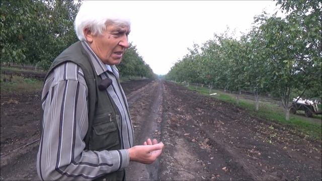 Секрет выращивания элитных саженцев. Подвой . Часть I. Февраль 2021 смотреть онлайн