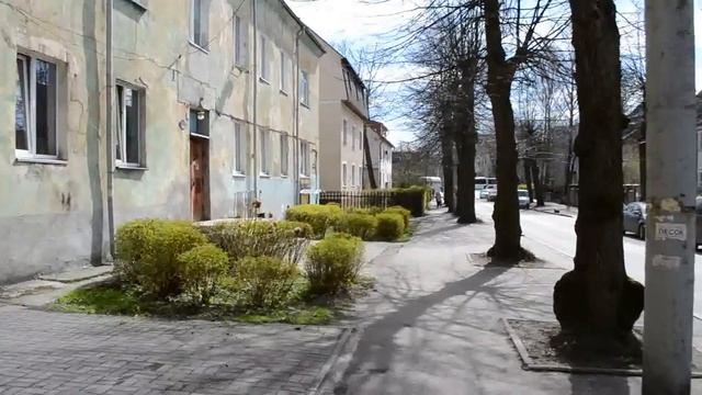 Почти Vlog: покупки, прогулка по Амалиенау и смущающаяся я в кадре  )))