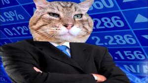 КОТ НОСОК - ОТКУДА МЕМ?