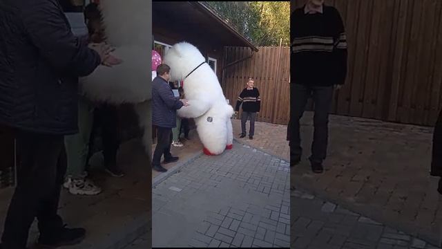 мишка игрушка