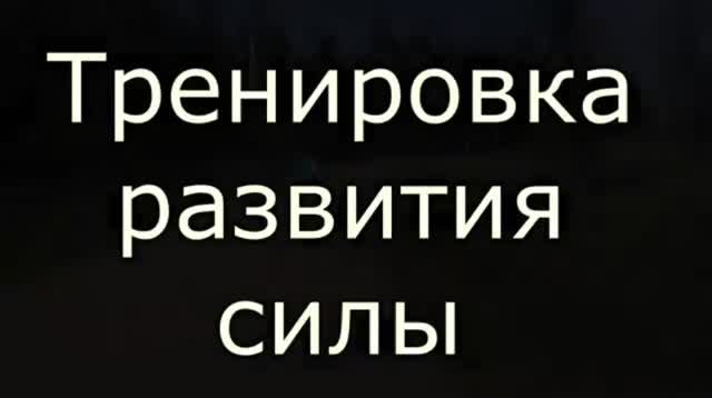 Тренировка развития силы лыжников смотреть онлайн