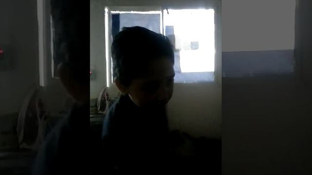 Porque los perros se rascan el culo смотреть онлайн