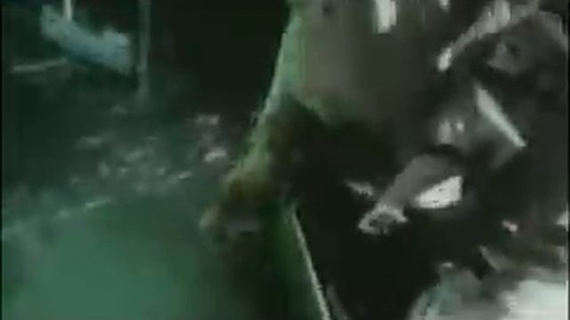 BLiTZ-NEW AGE-RED ALERT-CZARNY iTEK video LONDON-PARiS смотреть онлайн