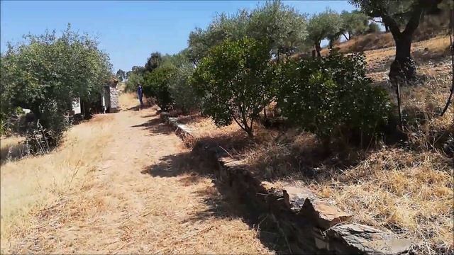 NO LONGER AVAILABLE | Central Portugal | Portuguese farmland for sale - 5.500 m2 смотреть онлайн