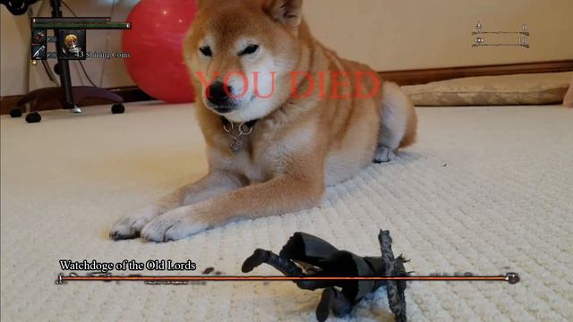 bloodborne remaster.avi смотреть онлайн