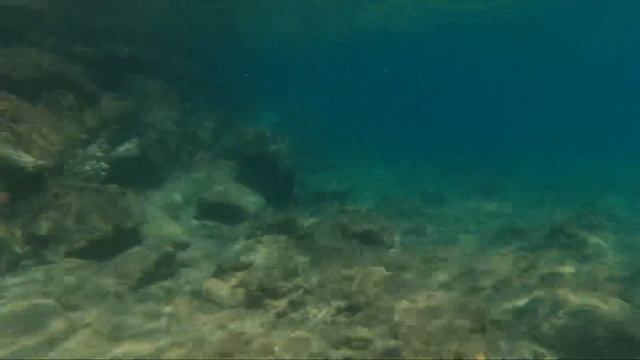 Подводный мир Саламины смотреть онлайн