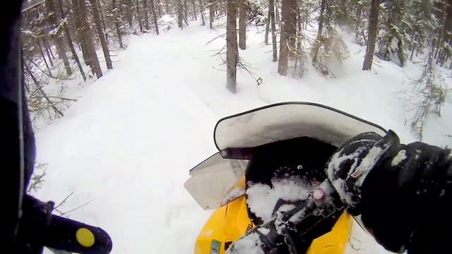 Tundra 550 Lt , Tundra R