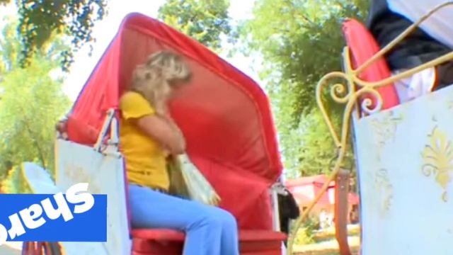 Обезьяна в карете!!! смотреть онлайн