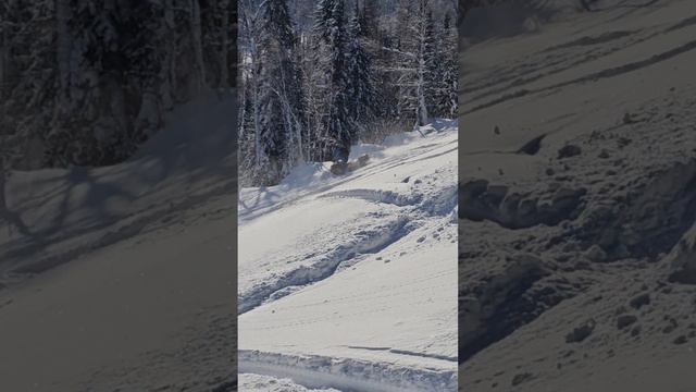 Лучшая проходимость снегохода в горах «Активный отдых» смотреть онлайн