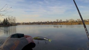 ЯЗЬ! Ловля крупного ЯЗЯ на блесну с берега! Рыбалка на спиннинг