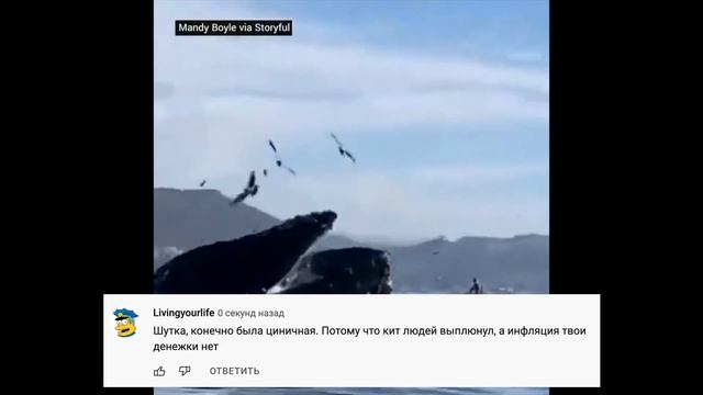 Кит Проглотил Людей, но не стал есть и выплюнул смотреть онлайн