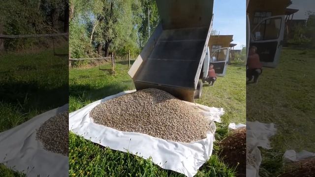 Как построить бюджетный патио/файрпит | How to build cheap firepit/patio смотреть онлайн