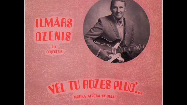 Virši Zili. Ilmārs Dzenis.