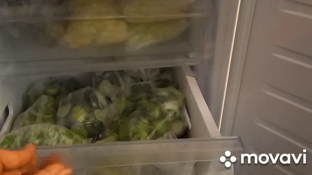 Ревизия морозильной камеры на конец января ???? смотреть онлайн