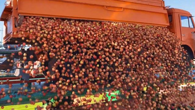 Сады Придонья. Всего 3 часа, чтобы яблоки стали соком. смотреть онлайн