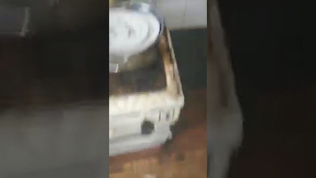 Кудиново-генофонд нации! Кудиновские тараканы 18