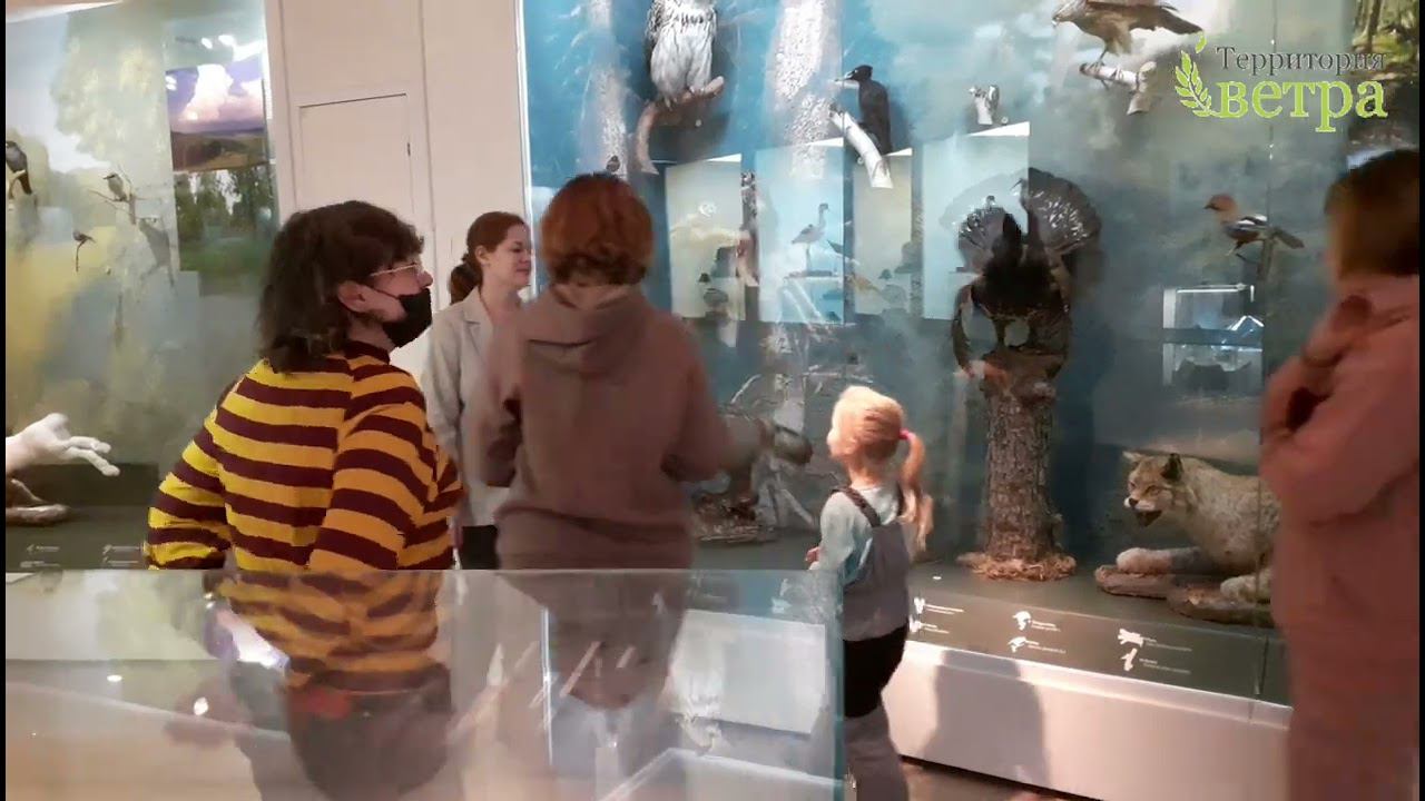 Музей Челябинского метеорита (Челябинск) смотреть онлайн