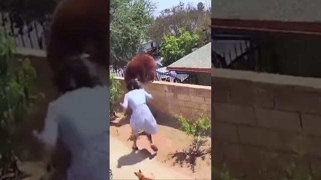 Баба напугала медведя смотреть онлайн