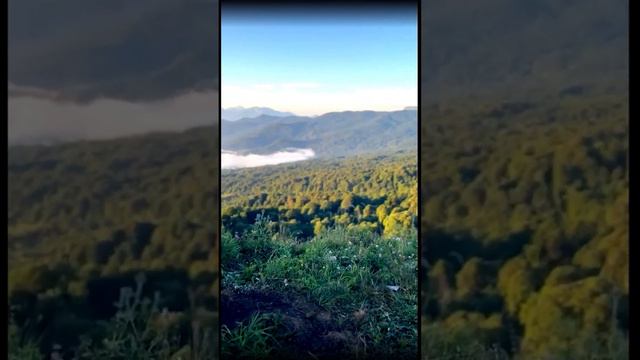 Турбаза "Активация" Адыгея смотреть онлайн