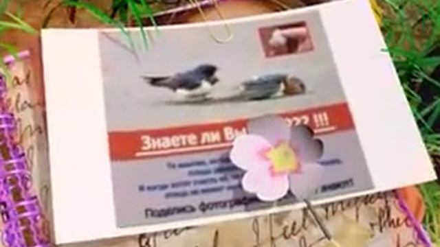 Вам от Даши , про птичек ! смотреть онлайн