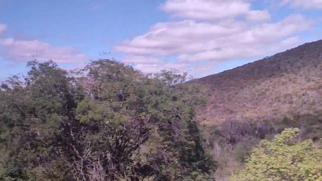 último dia em Brasília смотреть онлайн