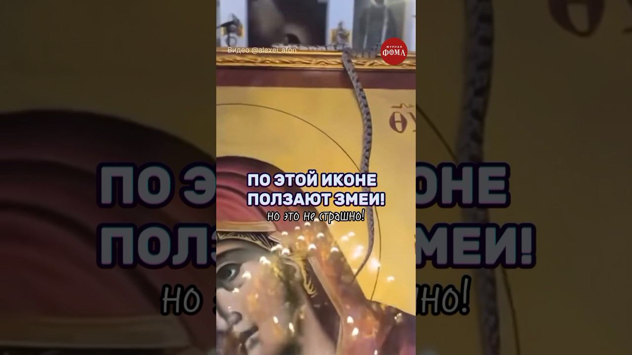 Змейки Пресвятой Богородицы: ежегодное кефалонское чудо на Успение смотреть онлайн