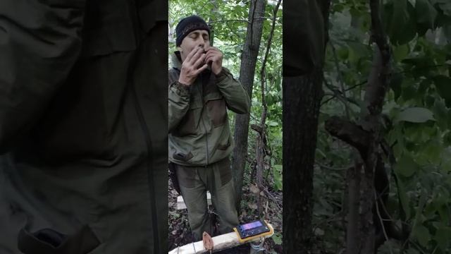 ВАРГАН В ГОРНОМ УЩЕЛЬЕ РБ БАШКОРТОСТАН смотреть онлайн