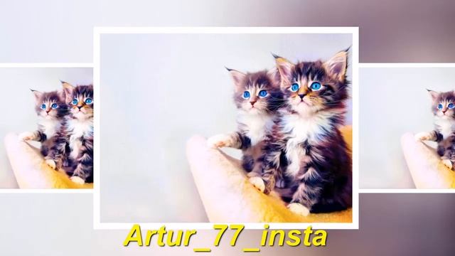 голубые глаза кредо