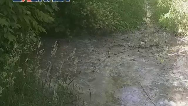 В Донецке в Калининском районе за домом № 19 по ул. 50-й Гвардейской дивизии прорвало канализацию смотреть онлайн