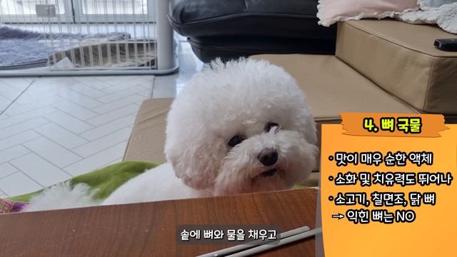 '강아지가 아파요!' 보호자라면 꼭 알고 있어야 할, 아플때 먹이면 정말 좋은 음식 10가지! 【강아지 아플때│강아지아플때음식│강아지아플때대처법】 смотреть онлайн