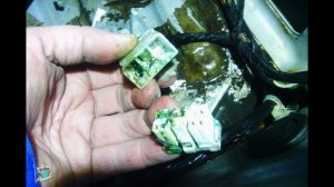 Не заводится! Ремонт проводки ЭБУ - Daewoo Lanos 1.5i