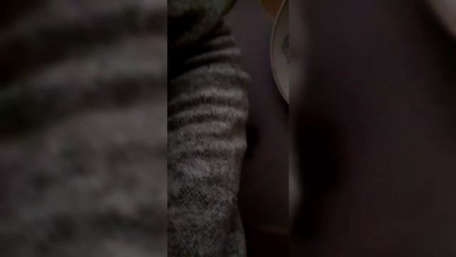 Пособники киевского режима продолжают выгонять мирных граждан из своих домов