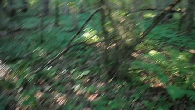 В поисках Селище  средневекового периода
