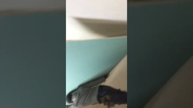 Как занести Гипсокартон в одиночку на 3этаж смотреть онлайн