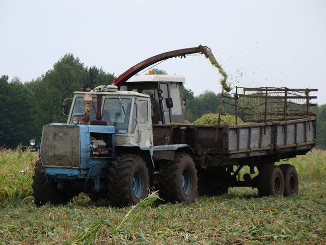 Polesie-280 And T-150K Tractor, Silage /// Полесье-280 и трактор Т-150К, заготовка силоса